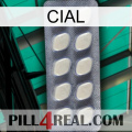 Cial 08